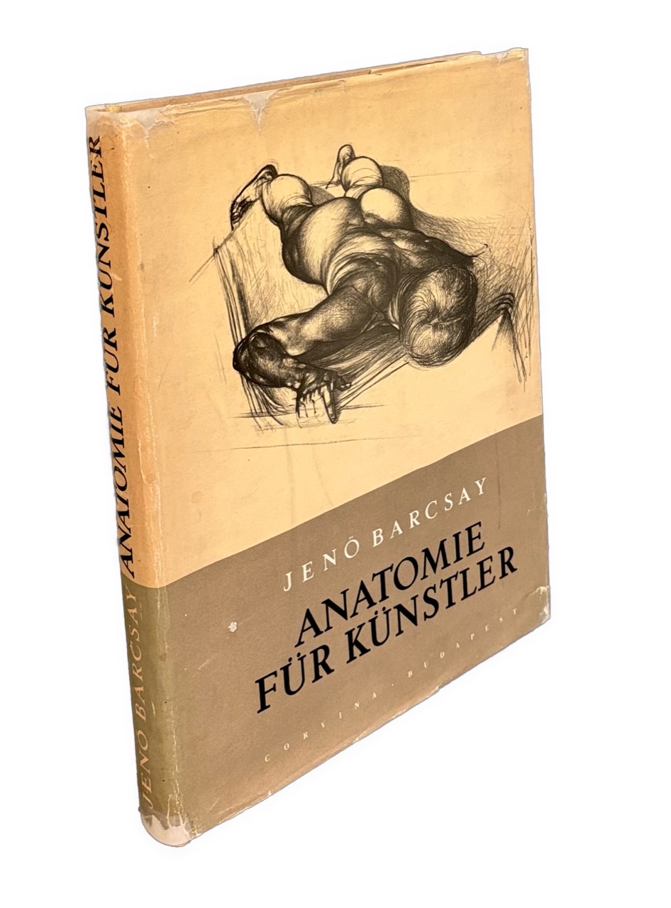 Anatomie für Künstler. Zeichnungen und erklärender Text