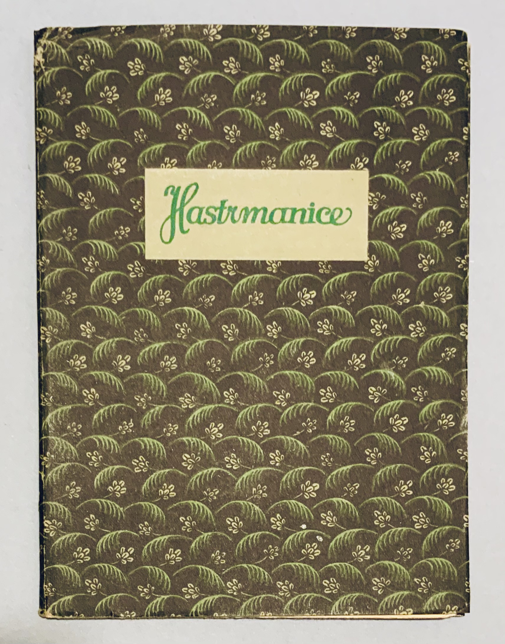 Hastrmanice. Karlínska balada