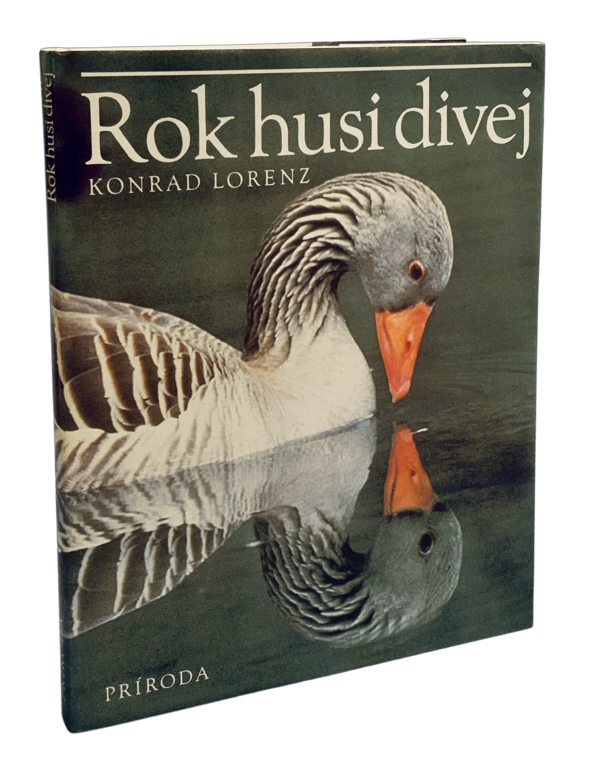 Rok husi divej