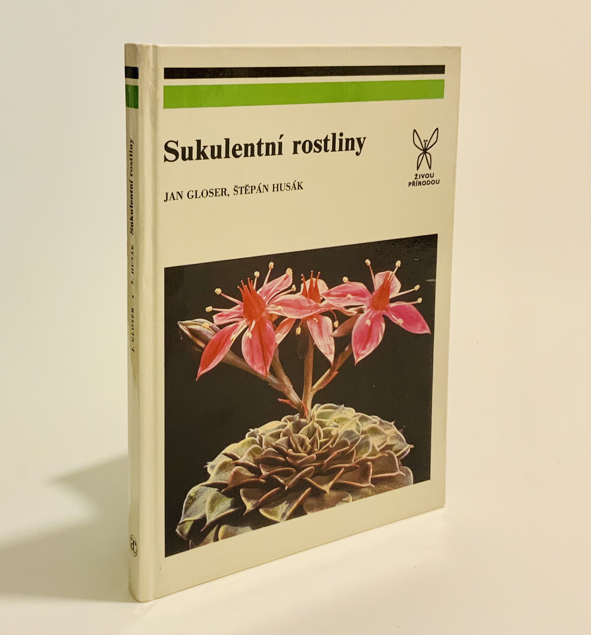 Sukuletní rostliny