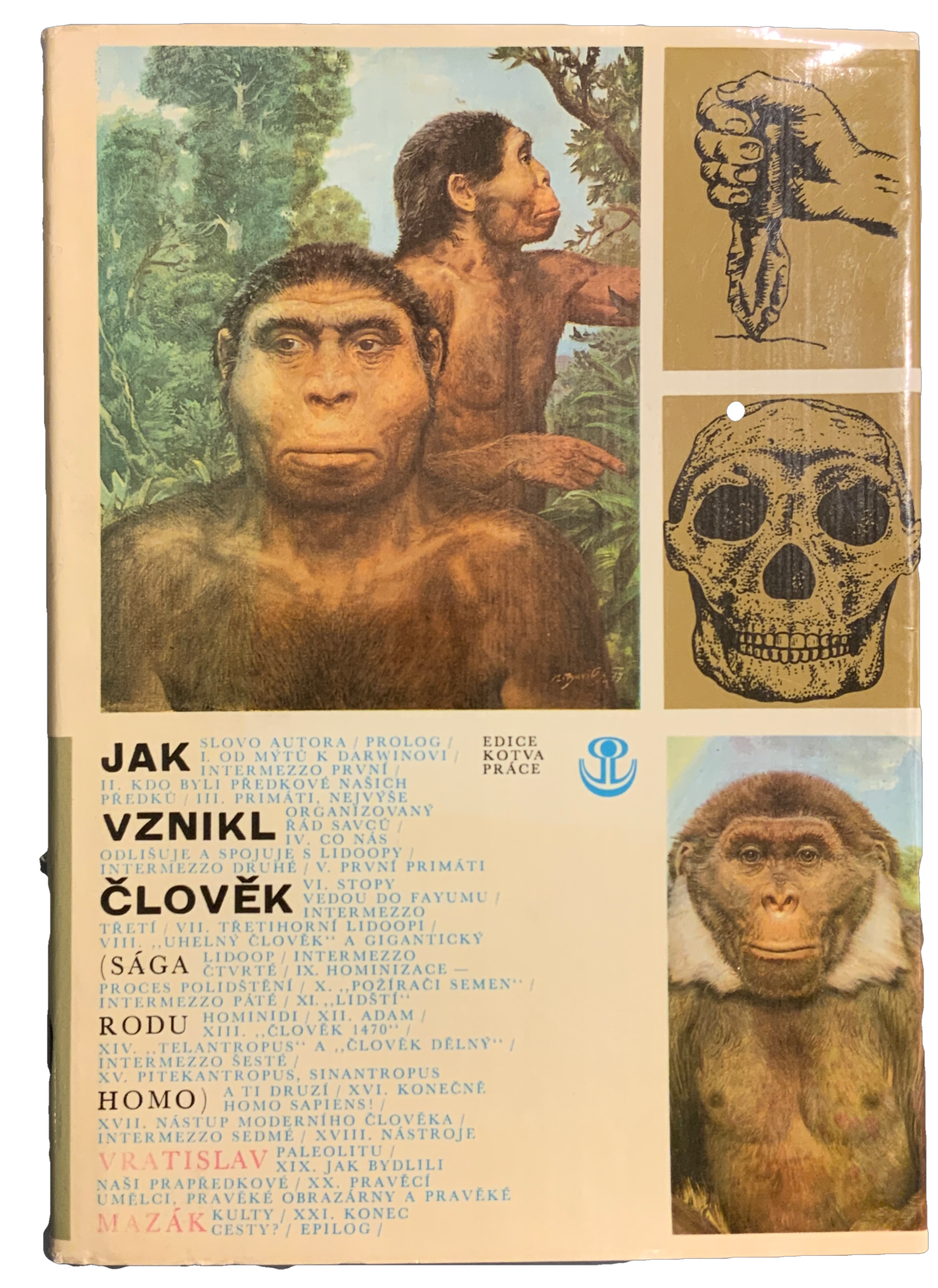Jak vznikl člověk. Sága rodu Homo