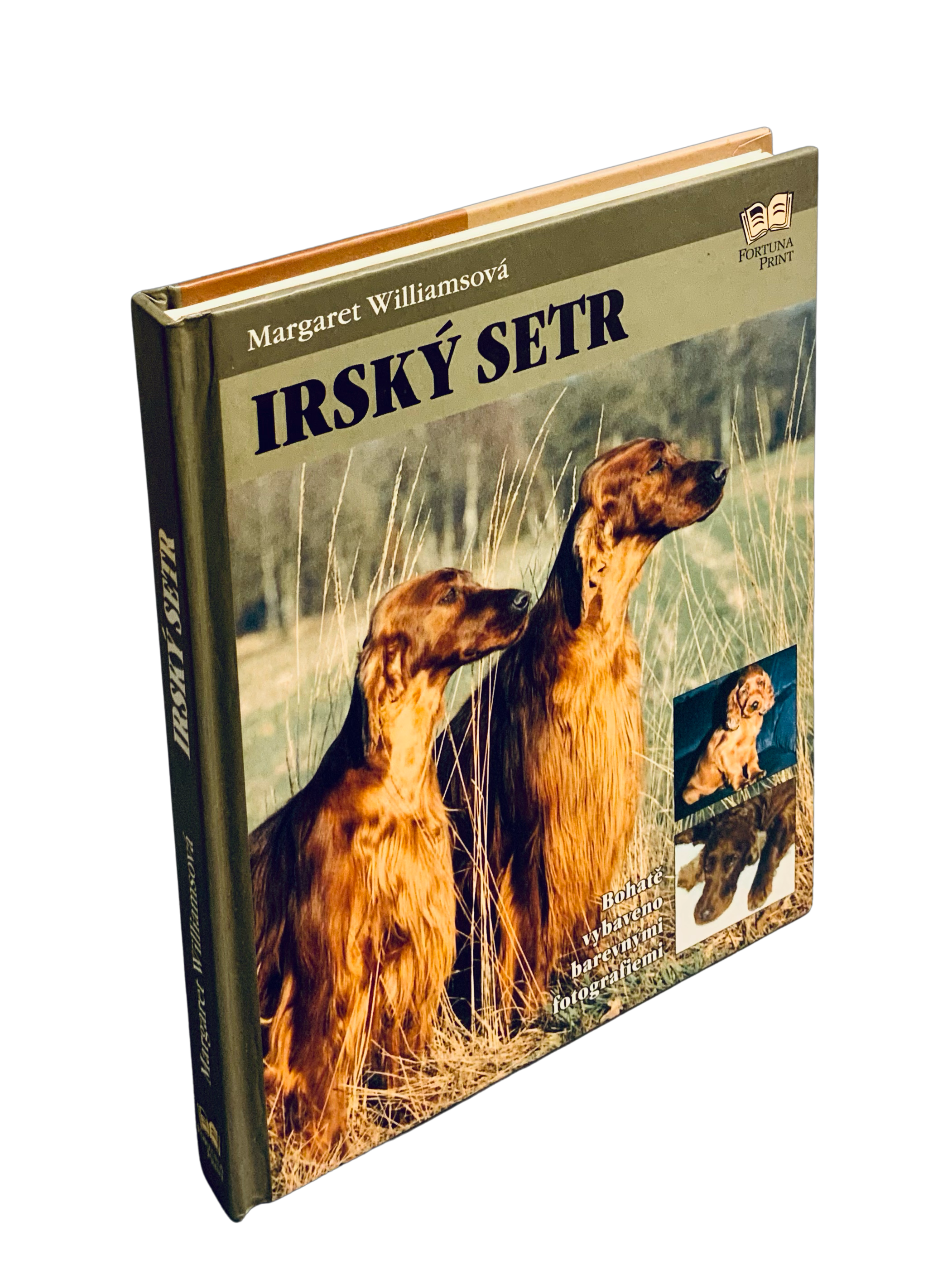 Irský setr