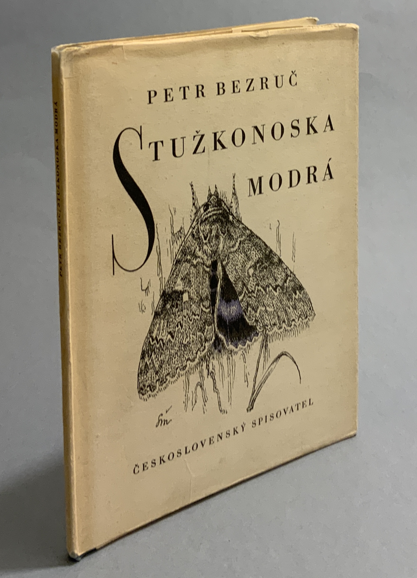 Stužkonoska modrá