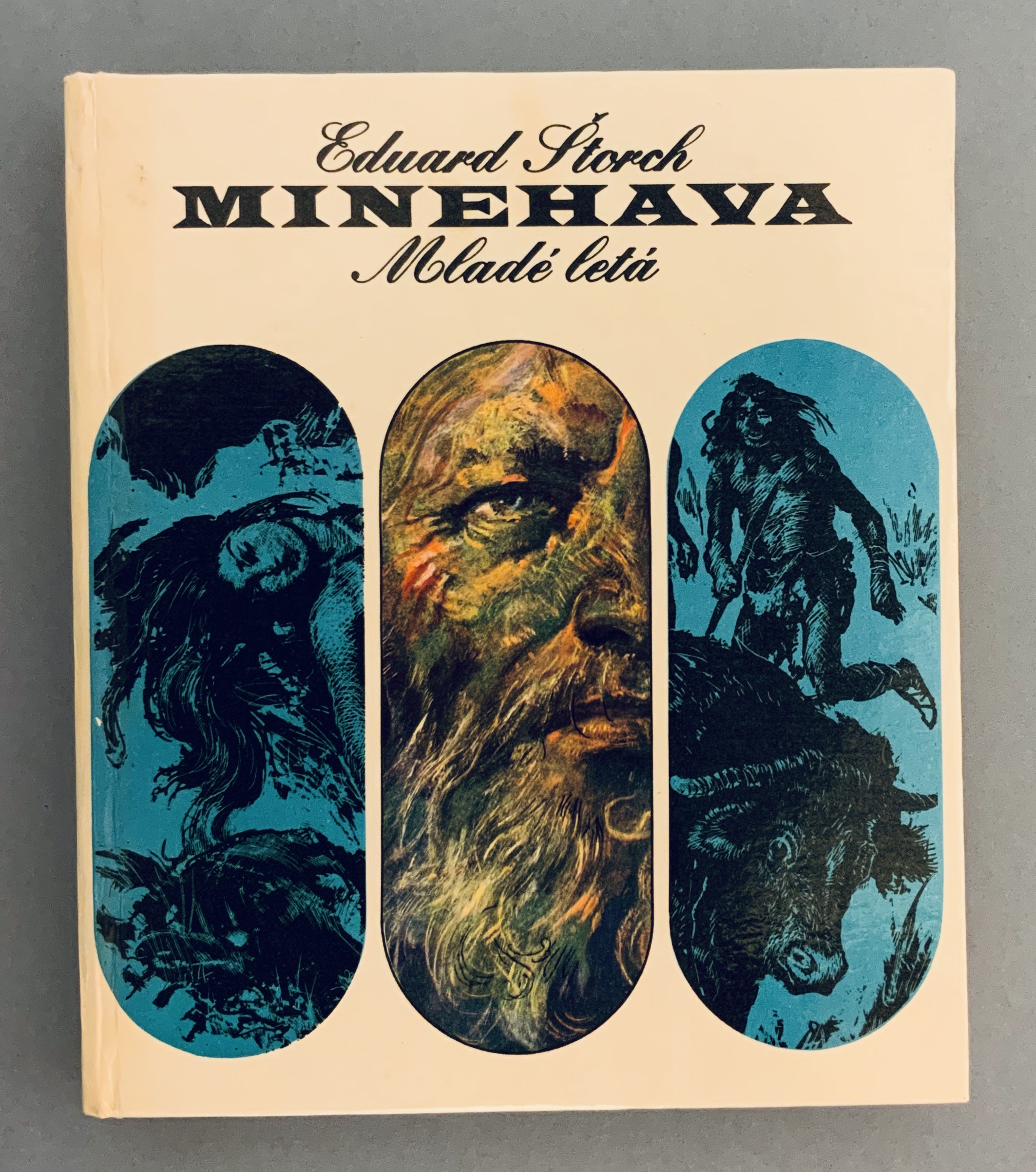 Minehava