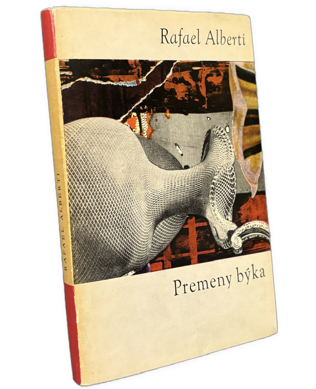 Premeny býka - OTVORENÉ OKNÁ IMG 0460