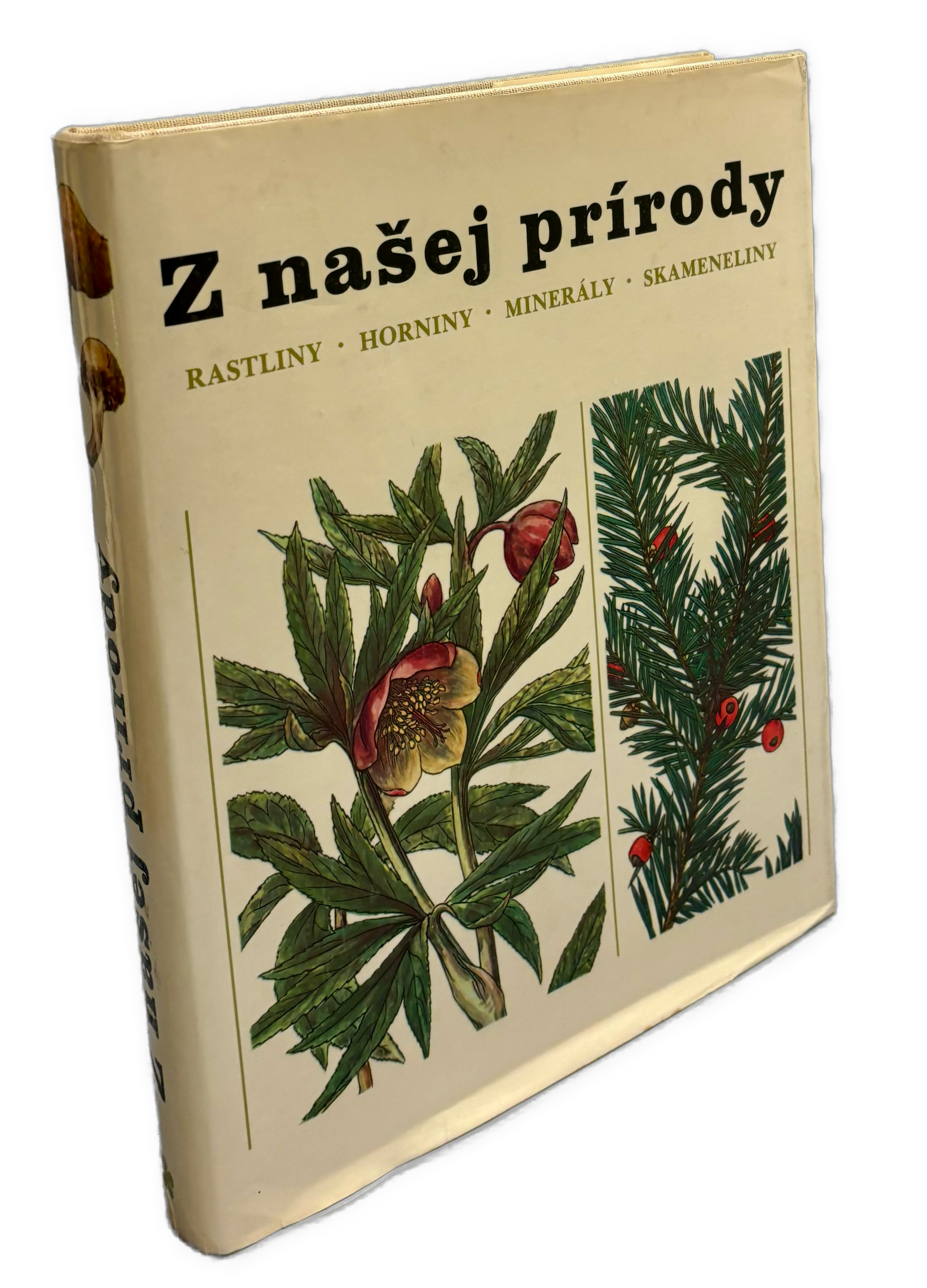 Z našej prírody - Rastliny, Horniny, Minerály, Skameneliny