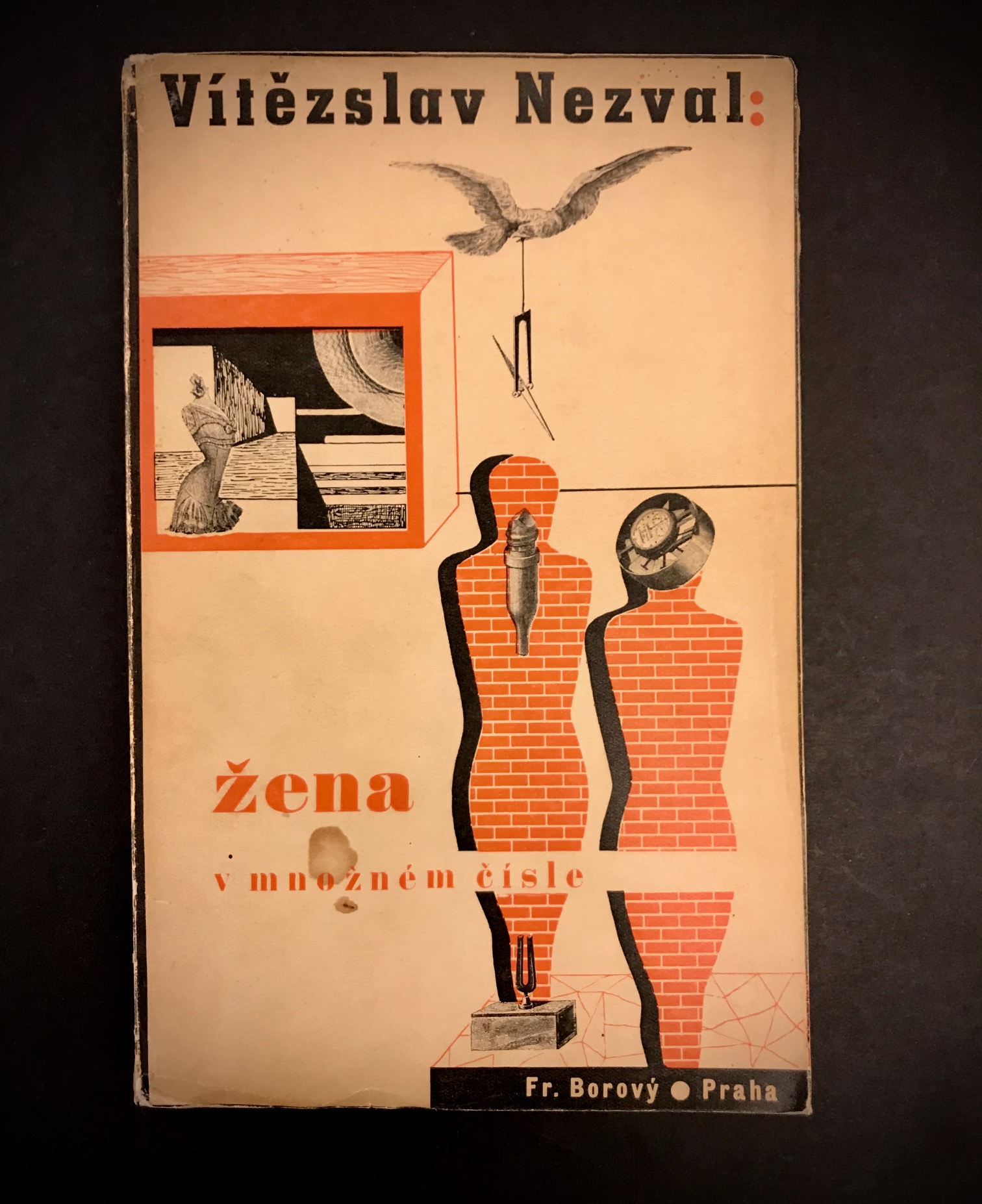 Žena v množnom čísle