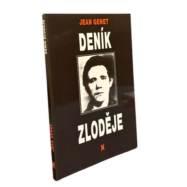 PROVOKATÍVNA LITERATÚRA - Deník zloděje