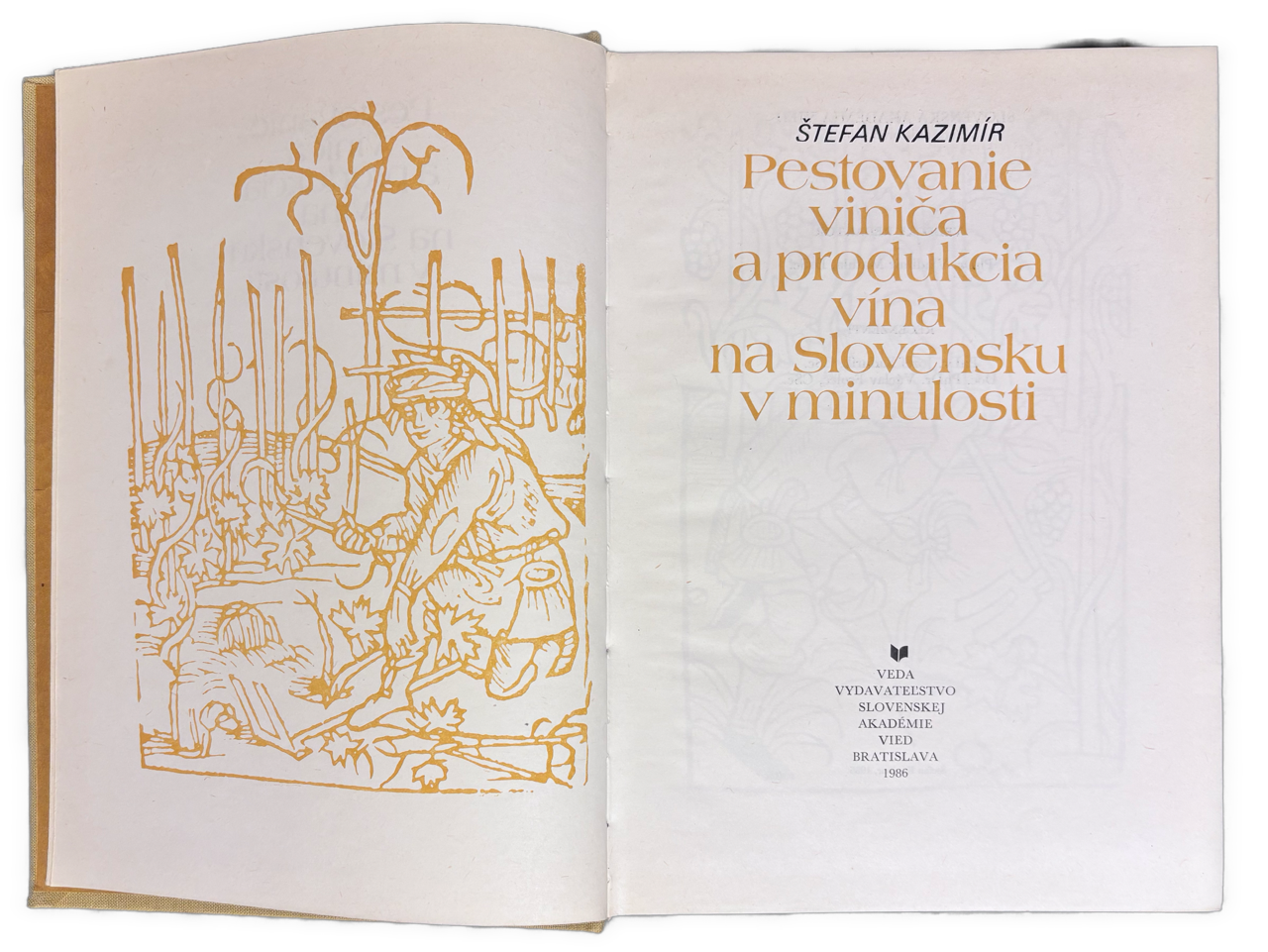 Pestovanie viniča a produkcia vína na Slovensku a v minulosti