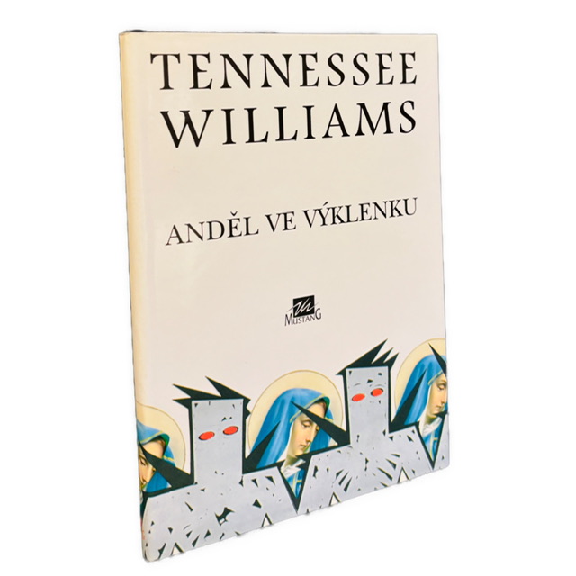 AMERICKÁ LITERATÚRA - Anděl ve výklenku IMG 4113