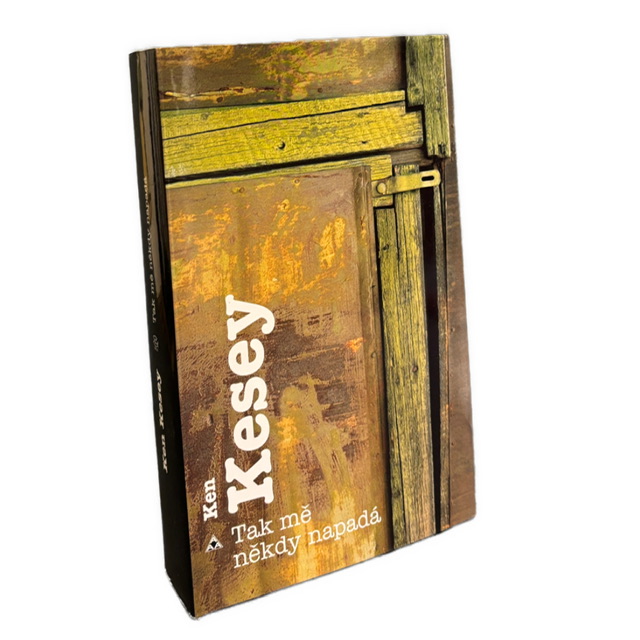 Tak mě někdy napadá. Román