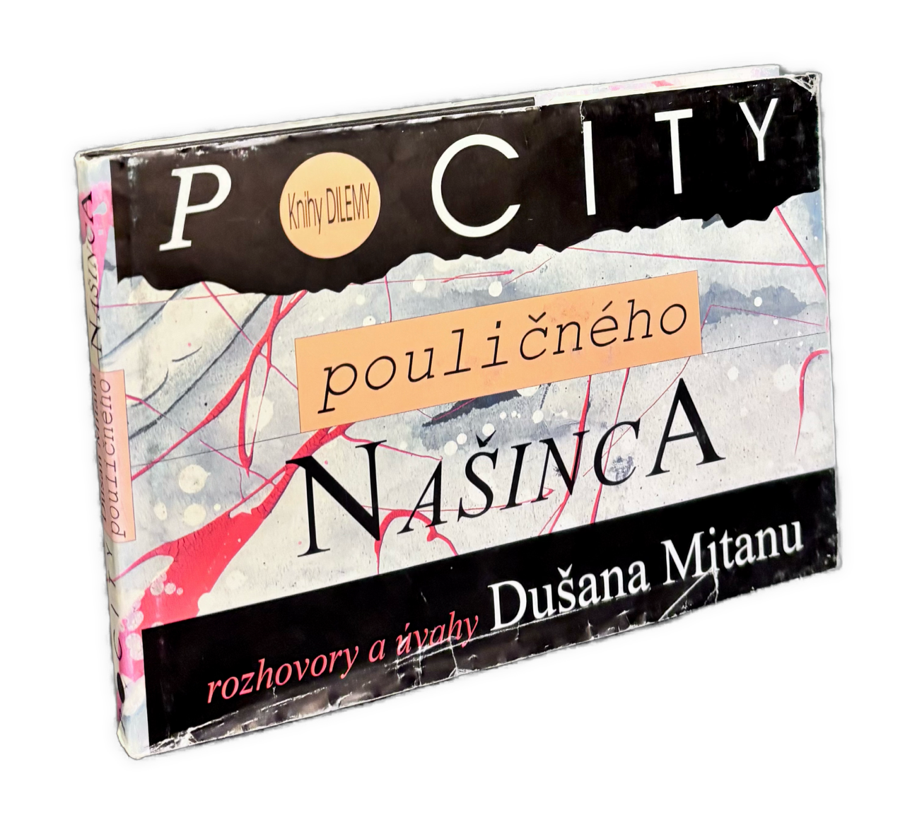Pocity pouličného našinca. Rozhovory a úvahy