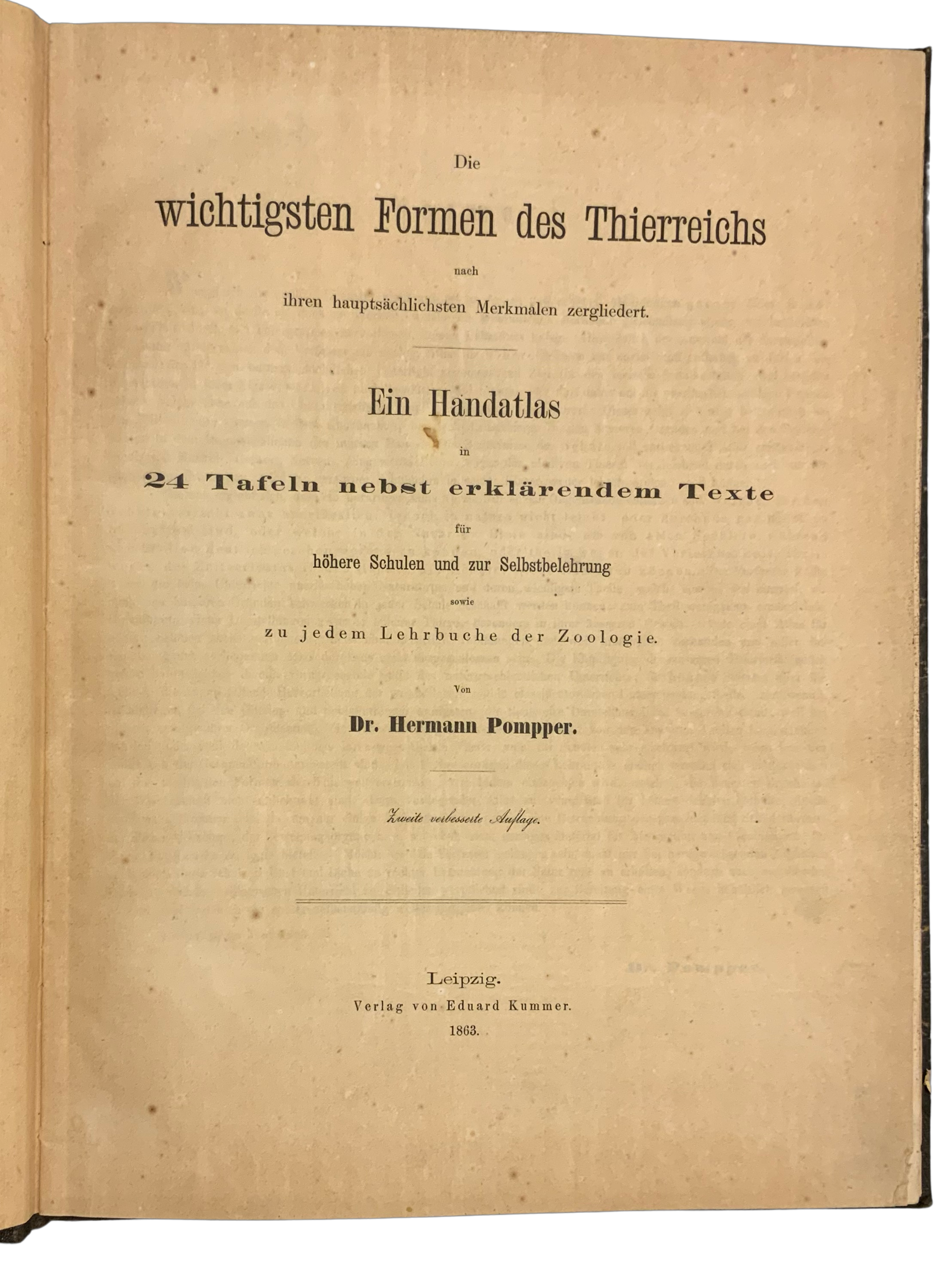 Die wichtigsten Formen des Thierreichs....