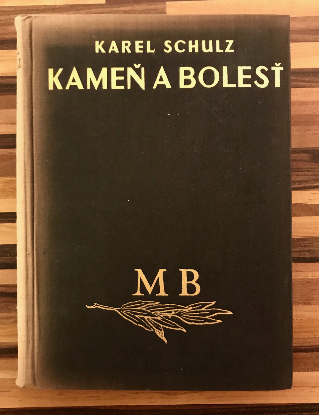 Kameň a bolesť. Román o Michelangelovi Buonarrotim