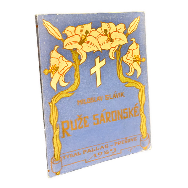 Ruže sáronské IMG 6584