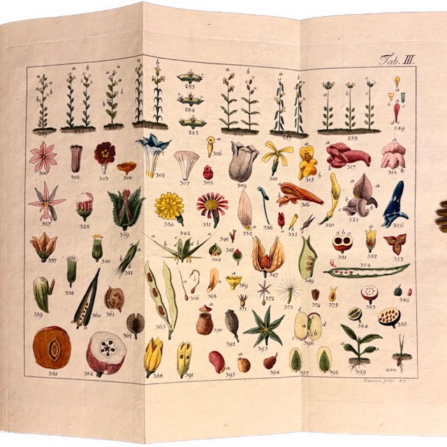 BOTANIKA - Versuch eines allgemeinen botanischen Handwörterbuchs IMG 7842