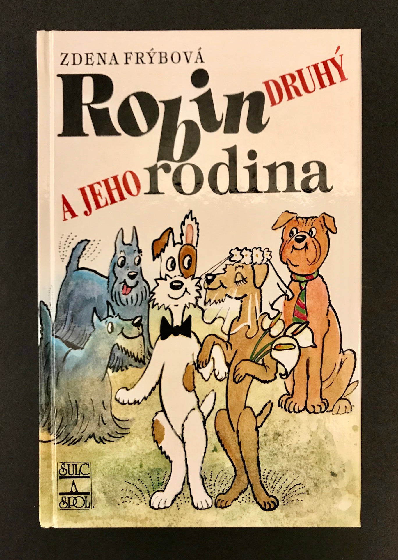 Robin a jeho druhá rodina