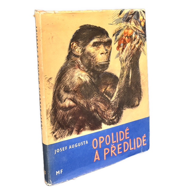 PALEOANTROPOLÓGIA / BURIAN - Opolidé a předlidé