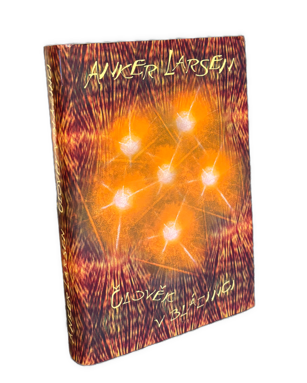 Člověk v blázinci. Román IMG 9521