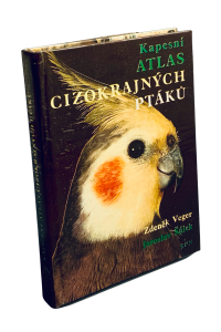 143048BC 8363 4FA6 BE96 A42EA1188FD2