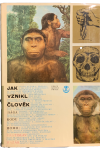 675805B1 8691 4AB8 8BCA FA028CB3FFB0