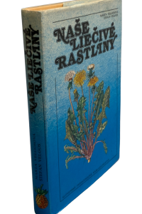 964BCDC3 E669 4F60 8866 D192D5403047