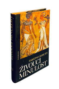 993F902B 4A86 4BA5 8626 64D8E96253AA