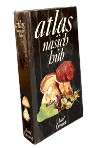 CBD968F7 7B6F 41B3 BA3C D448102D1D3B