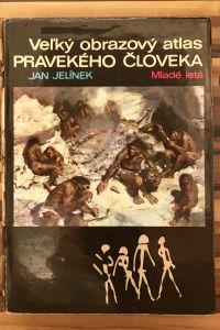 D40AFDE5 A03B 46E6 9649 3325602A9998