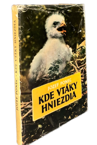 F6E7A6CD 1278 4B7B BC34 F03629B62668