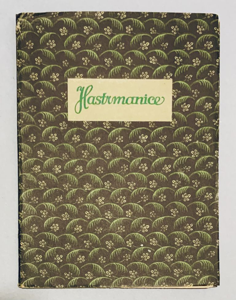 Hastrmanice. Karlínska balada 3D071F98 090F 4D2F A2F2 657259C9C43D2