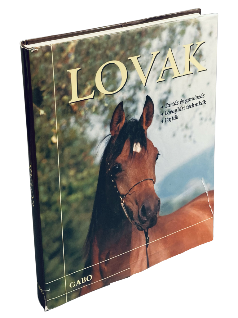 Lovak 5F8C2F3B 8CAC 429D 90BE C47110E3A0FB