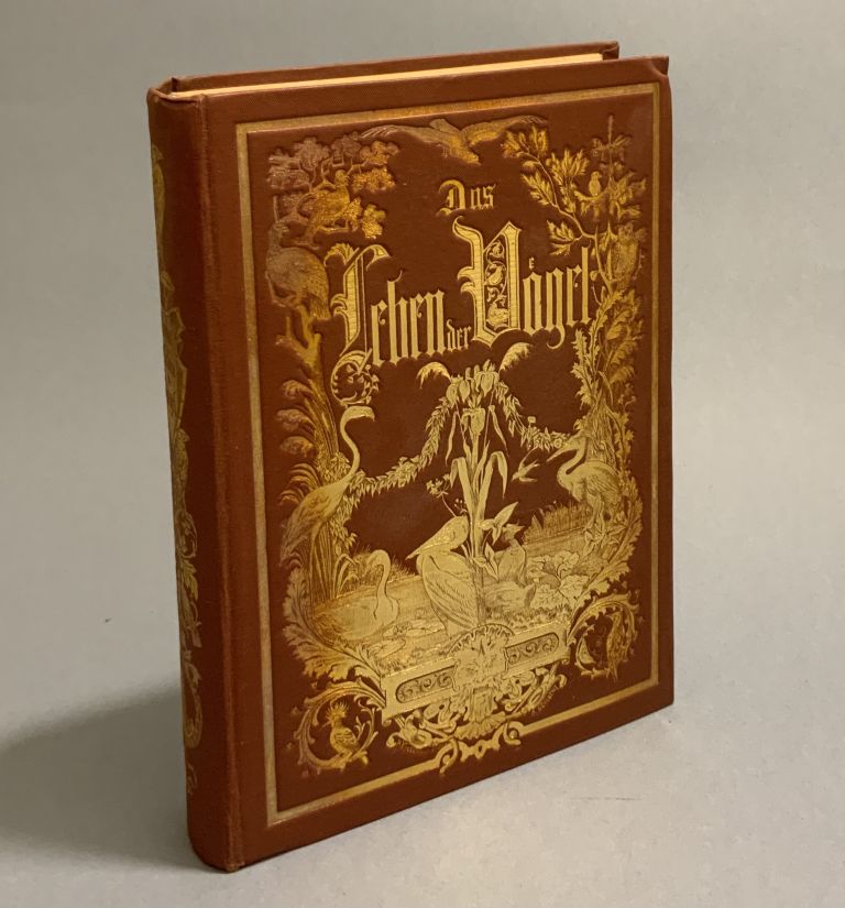 Das Leben der Vögel 99CA9A0A B2FC 4200 A722 1500DE0391CD