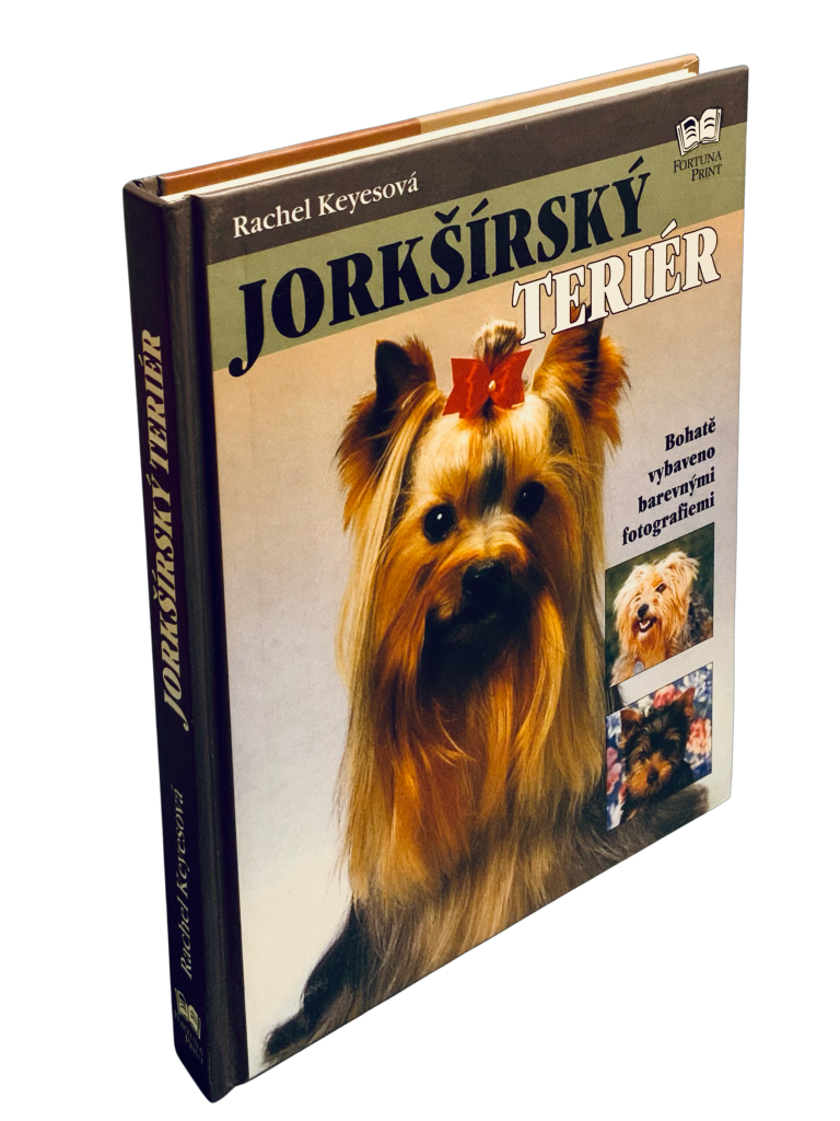 Jorkšírsky teriér CB28BBE5 722A 448B AE77 5D87723A81CD