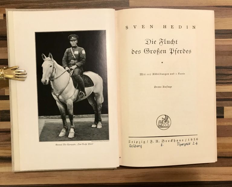 Die Flucht des grossen Pferdes EF895C8F 41DA 491F B9EB D2EEB5C7CEC7