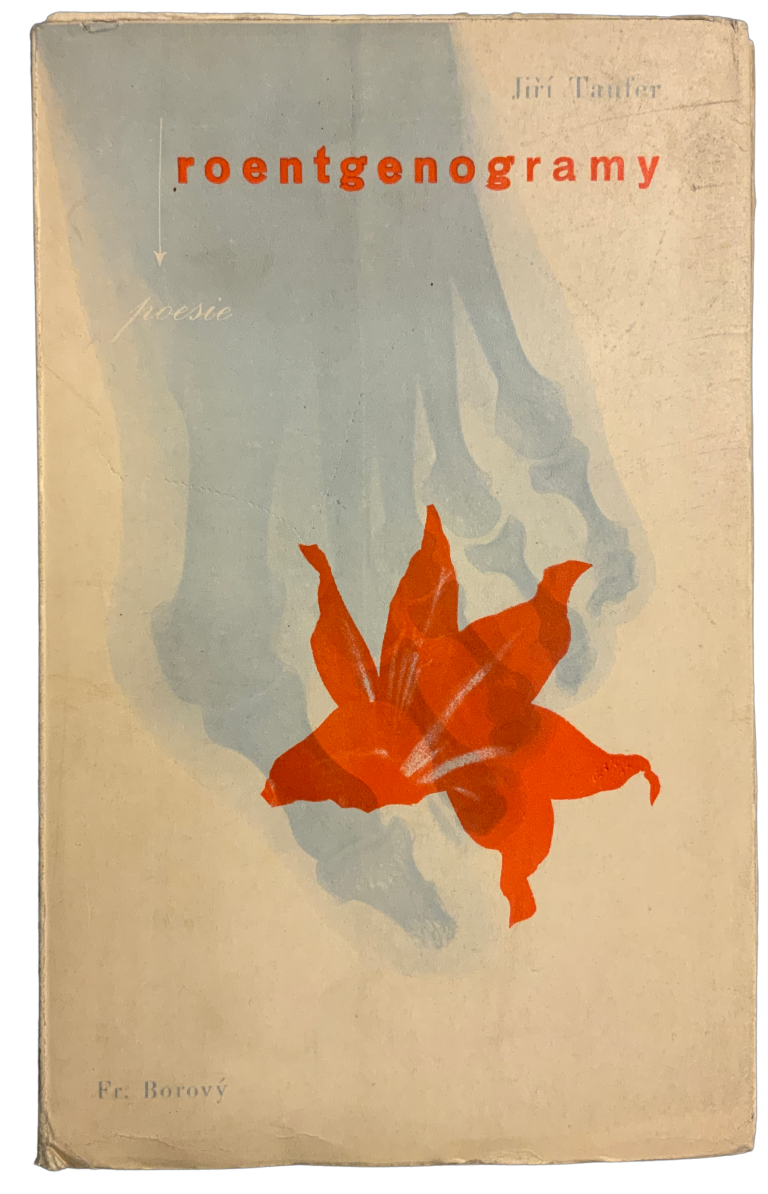 poesie roentgenogramy F18A020D F48B 4339 987A D8717E8DF2DD