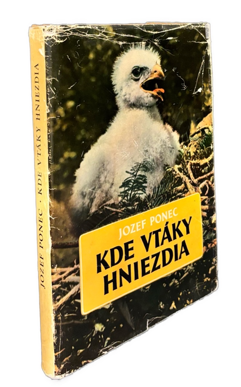 Kde vtáky hniezdia F6E7A6CD 1278 4B7B BC34 F03629B62668