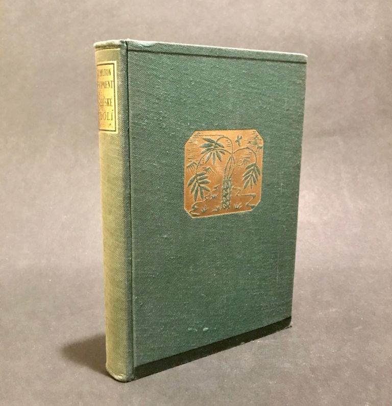 Nebeské údolí. Pionýrský román z doby osidlovaní pátého dílu světa - SYMPOSION IMG 0045