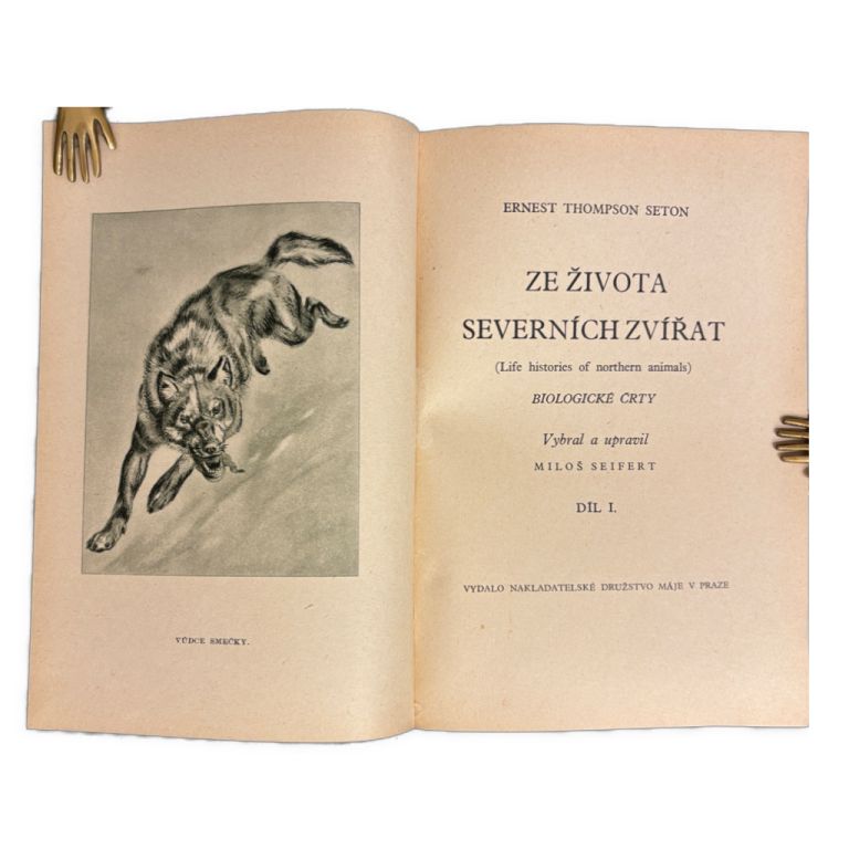 Ze života severních zvířat I.-V. (komplet) IMG 0348
