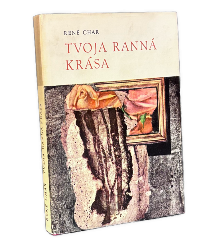 Tvoja ranná krása - OTVORENÉ OKNÁ IMG 1601