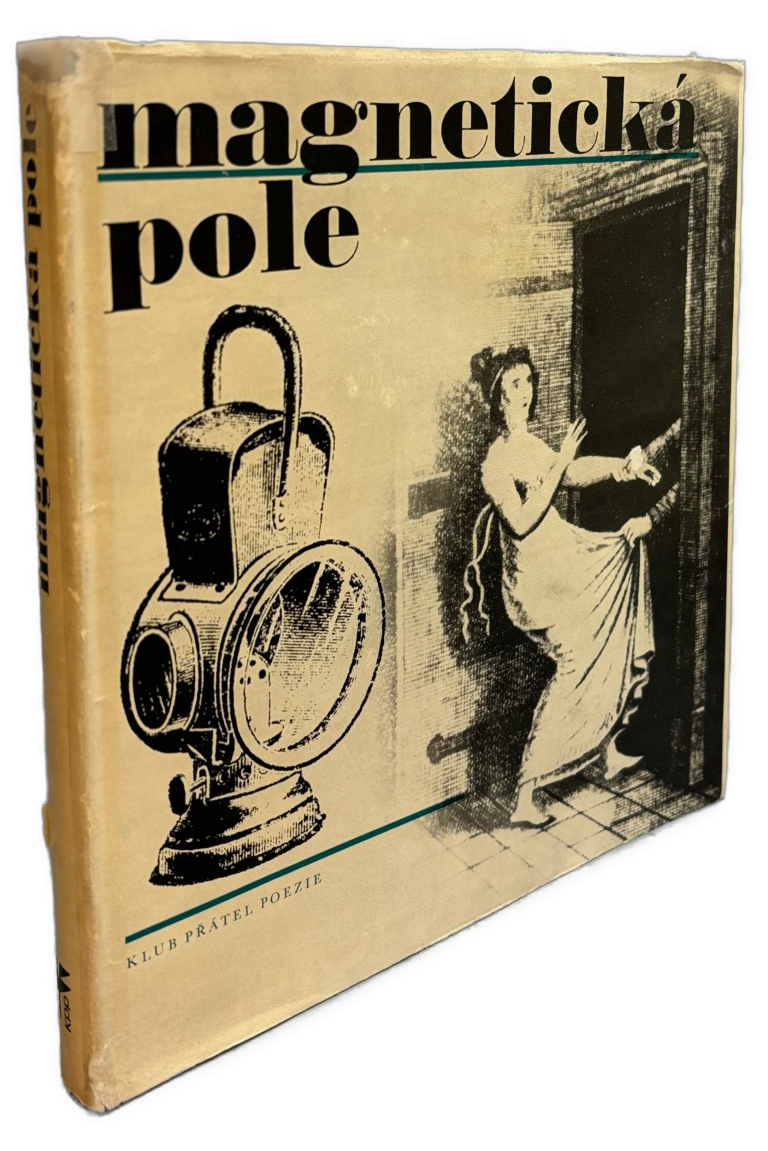 Magnetická pole IMG 2136