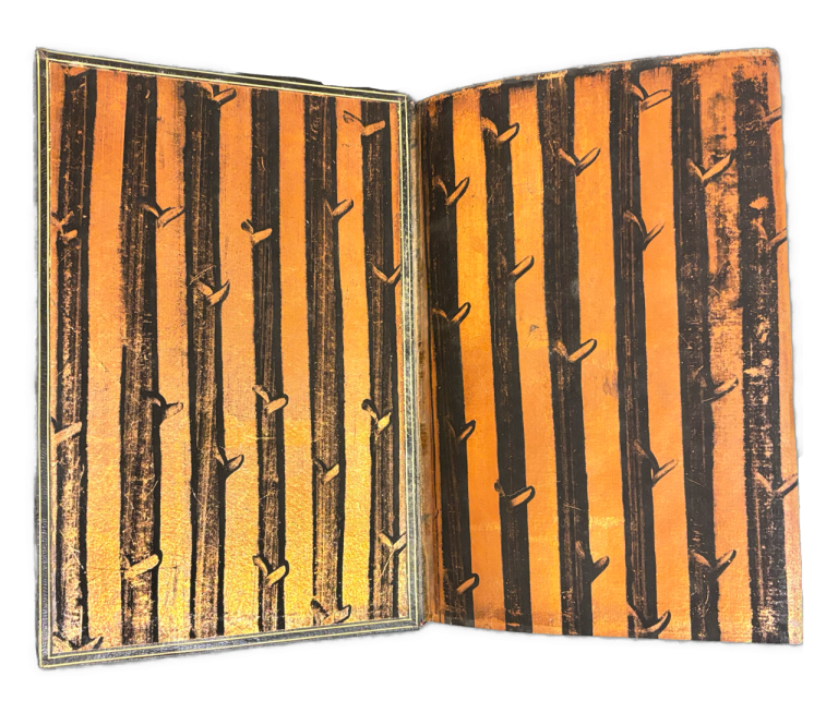 Aus Kaiser Karls Nachlass - Bibliophile Edition IMG 2807