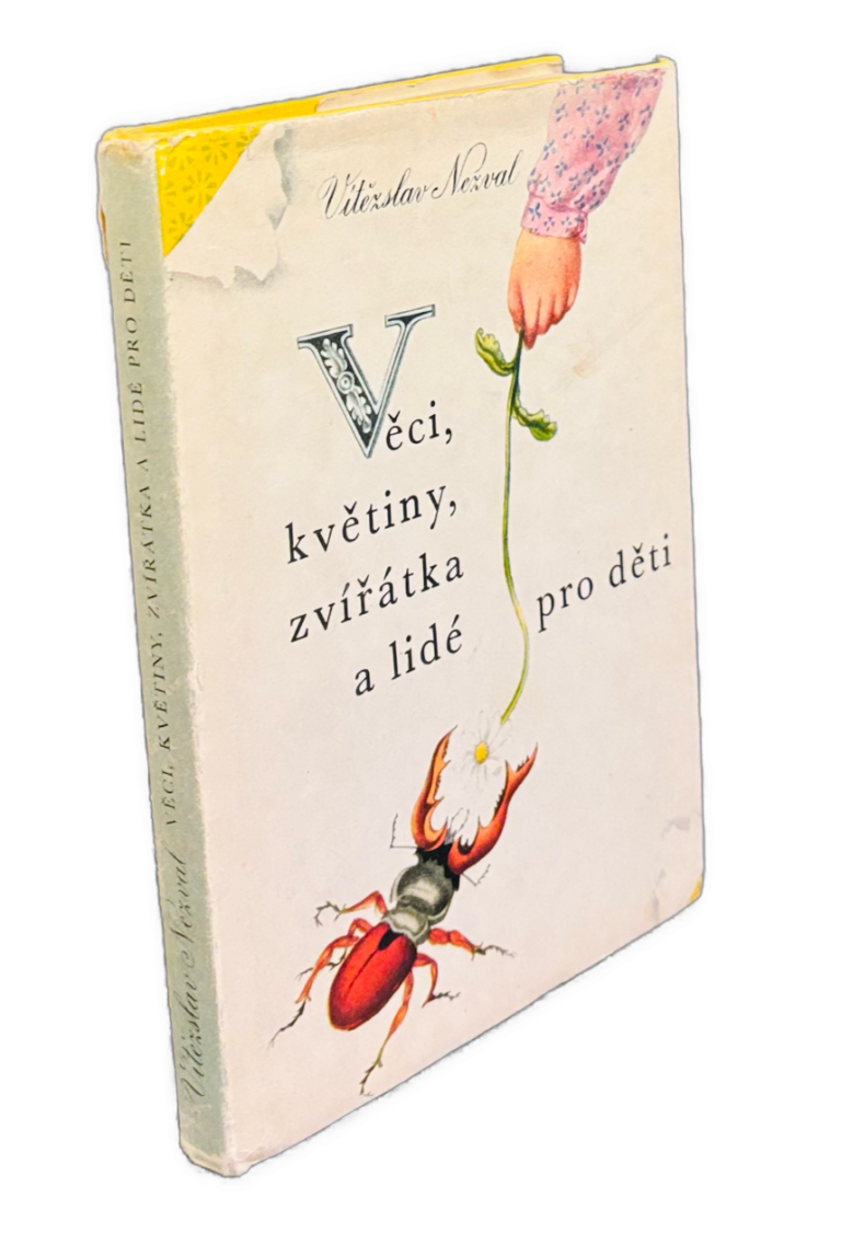 Věci, květiny, zvířátka a lidé pro děti IMG 3177