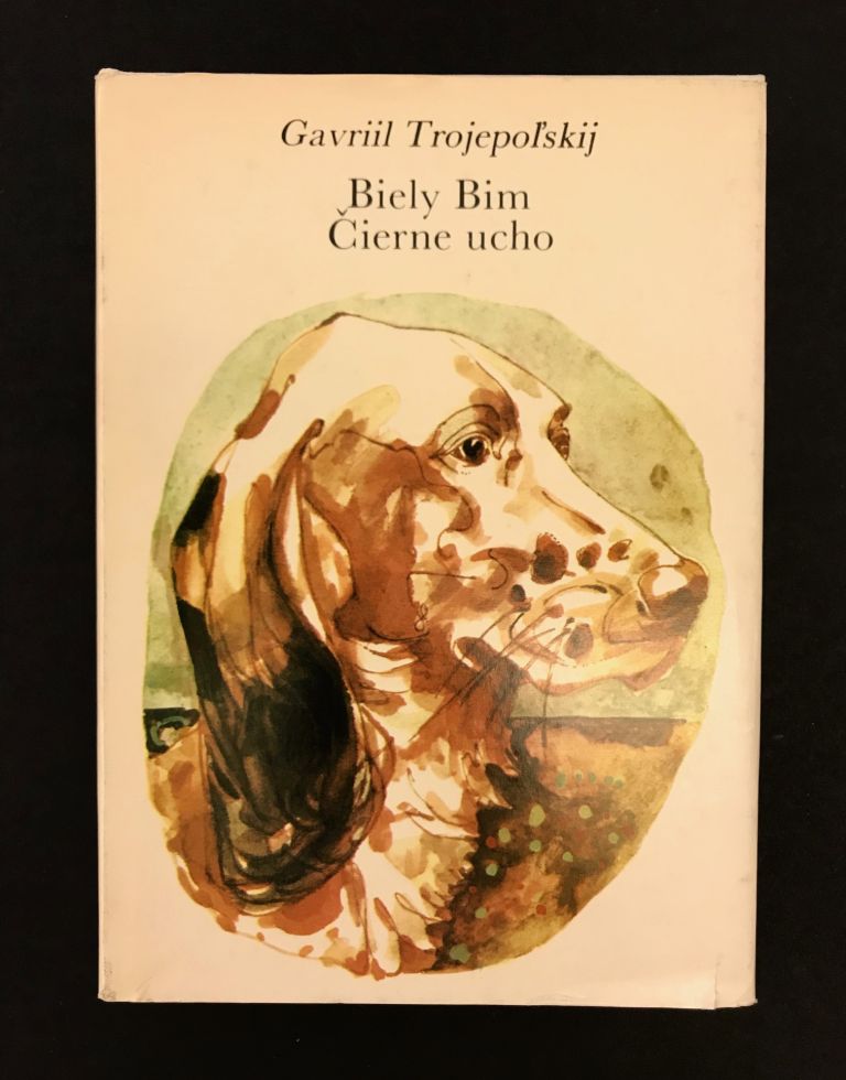 Biely Bim Čierne ucho IMG 3424