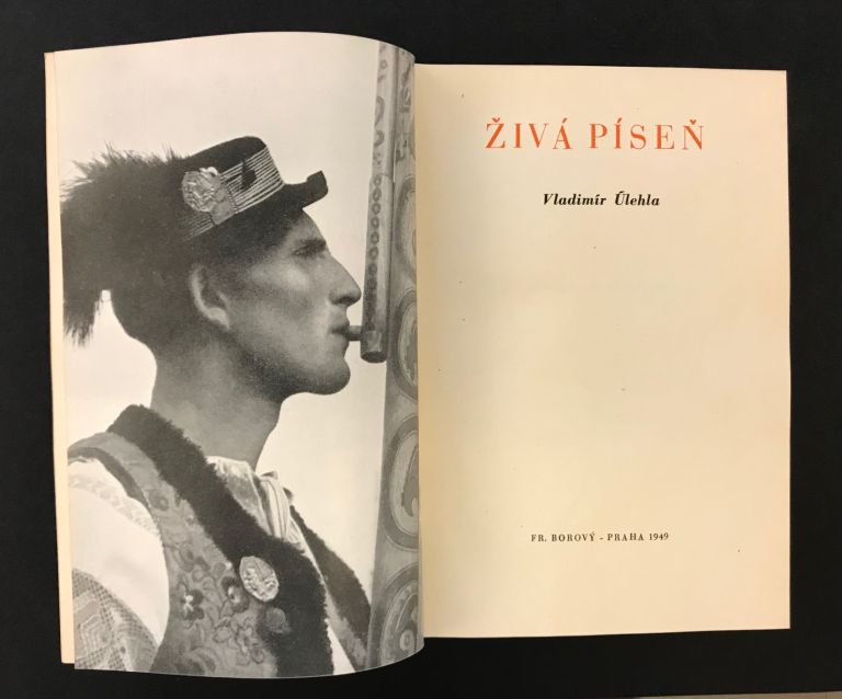 Živá píseň (Stáržnicko) IMG 3453