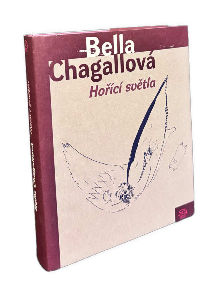 Hořící světla IMG 4576