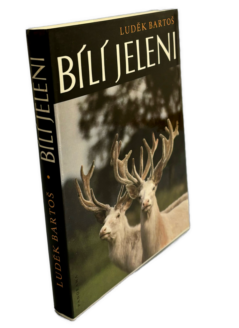 Bílí jeleni IMG 475