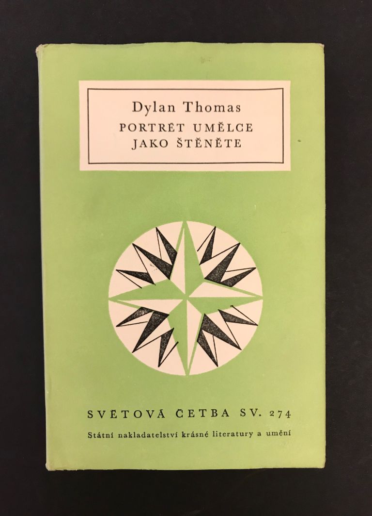 Portrét umělce jako štěněte IMG 4827