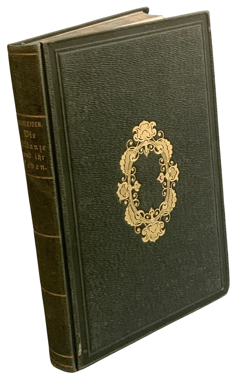 Die Pflanze und ihr Leben IMG 5023