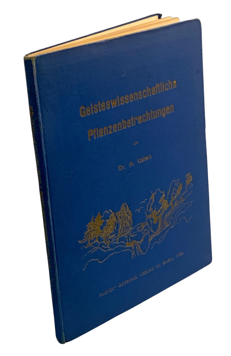 Geisteswissenschaftliche Pflanzenbetrachtungen IMG 5085